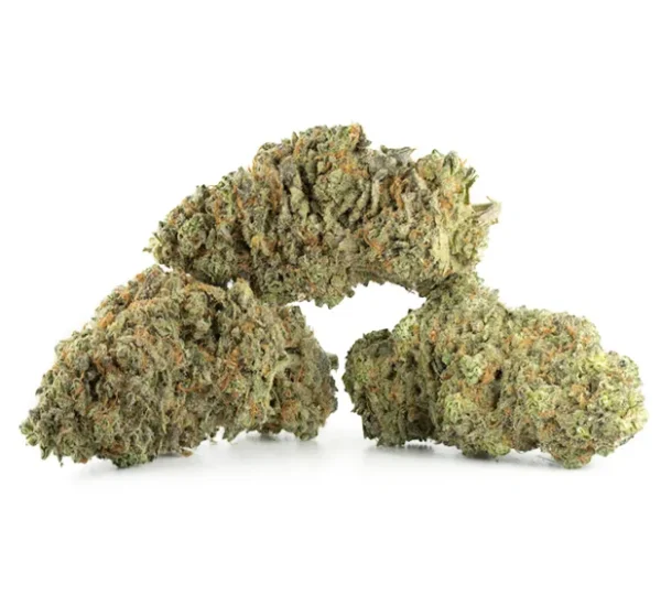 Amnesia-Haze-1-600x540 Amnesia Haze Strain - Image 1