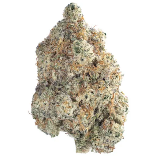 Berry-Pie-by-Cookies Berry Pie Strain - Image 1