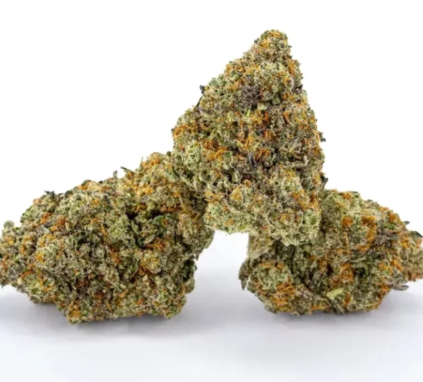 Biscotti-1-600x542 (1) Biscotti Strain - Image 1