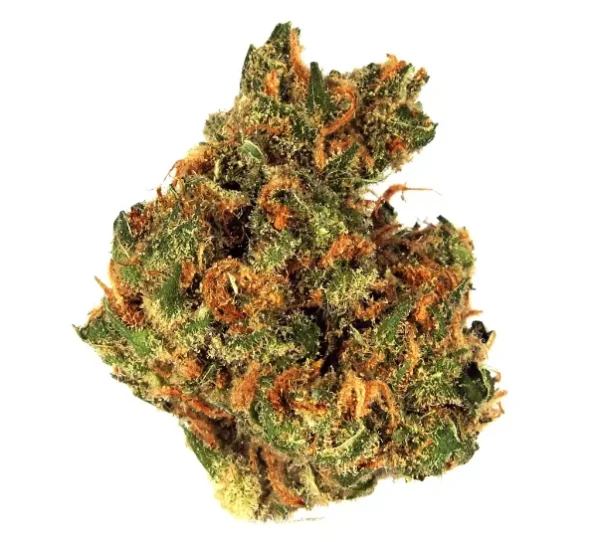 Island-Sweet-Skunk-600x542 Island Sweet Skunk Strain - Image 1